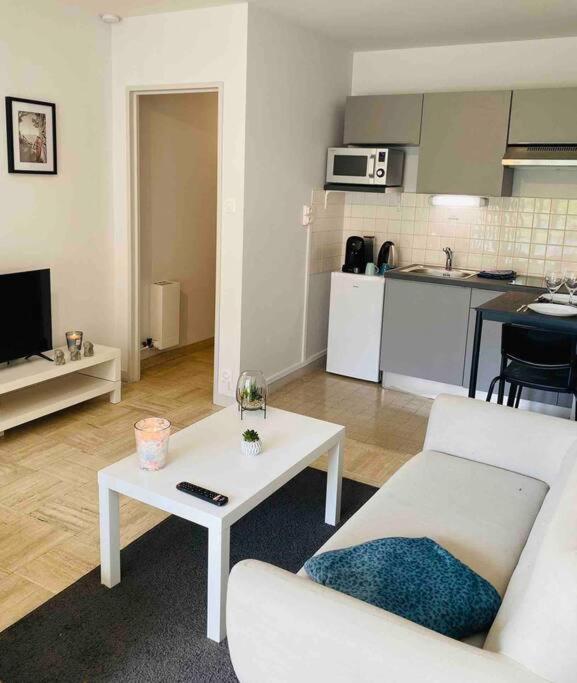 Apartment Kasa Voytier Parking Prive & Wifi - Balcon & Ascenseur Saint-Etienne (Loire)